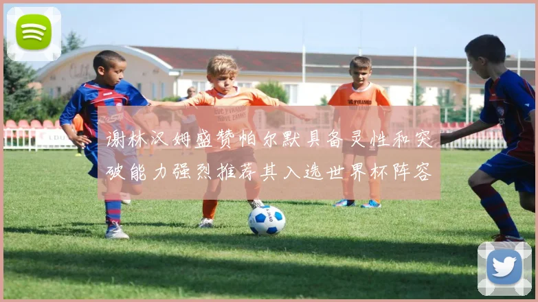 谢林汉姆盛赞帕尔默具备灵性和突破能力强烈推荐其入选世界杯阵容
